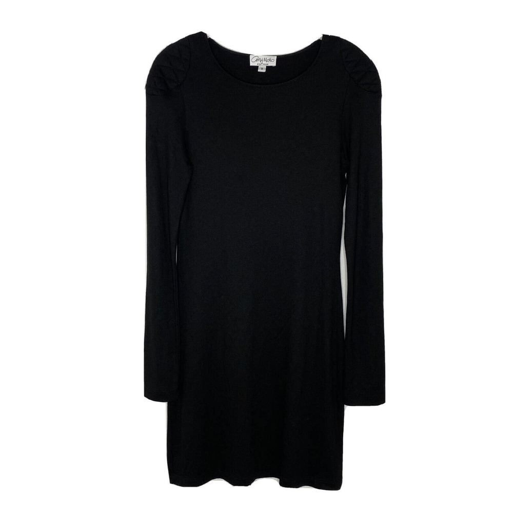 Amy Matto NY Sheath Crew Neck Neck Long Sleeve Dress Stretch USA Size S New